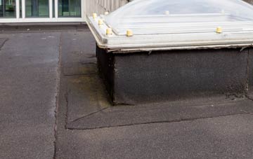 disadvantages of Figheldean flat roofs